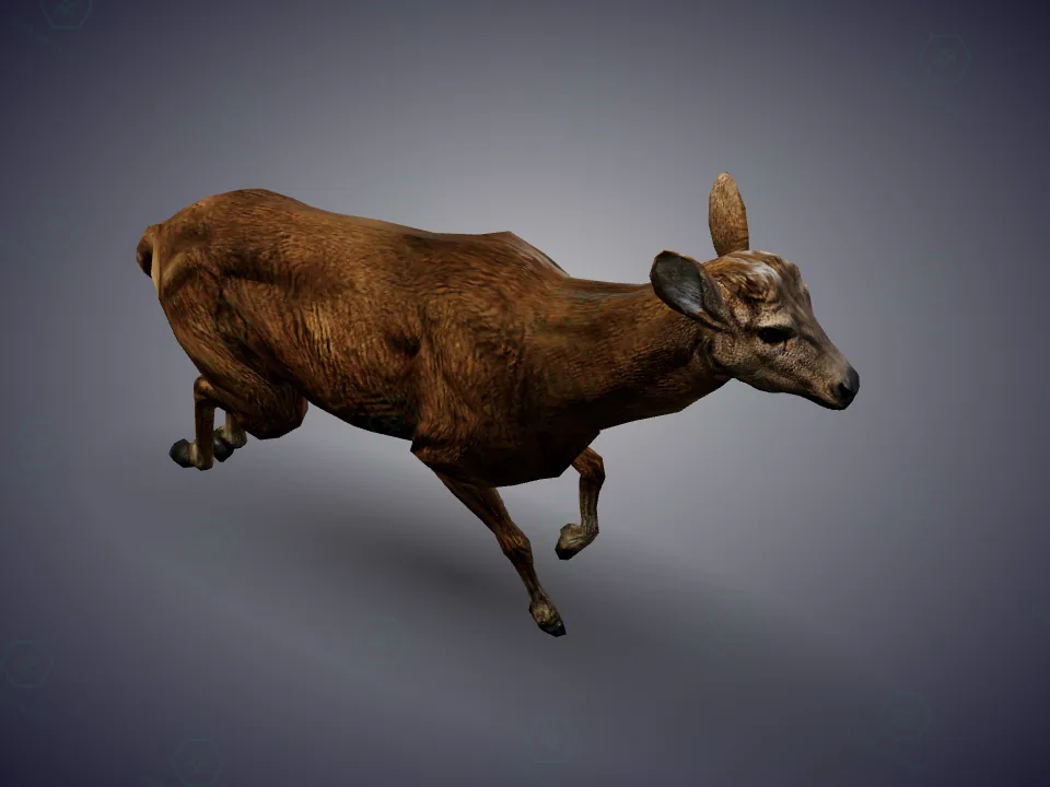gallop_start_180_r · creatures@deer@move · GTA 5 animation | GtaHash