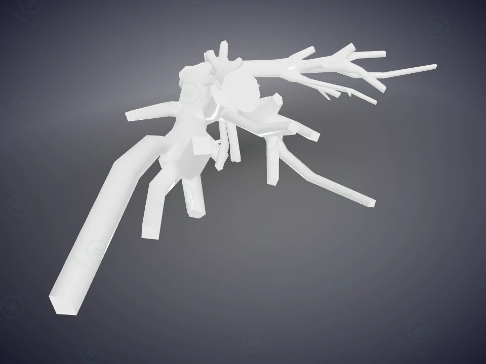 cs2_04_branches-