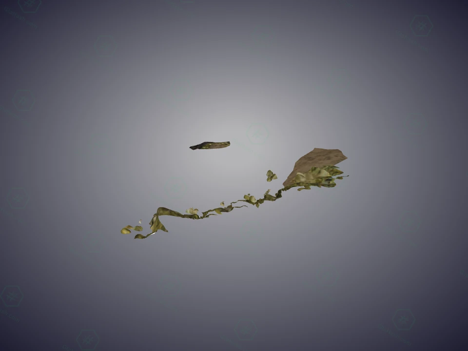 cs3_01_sea_10_lod