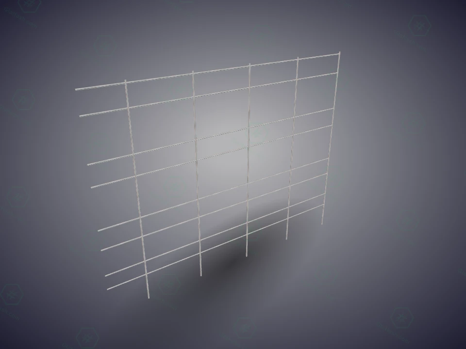 dt1_21_scaffold_07