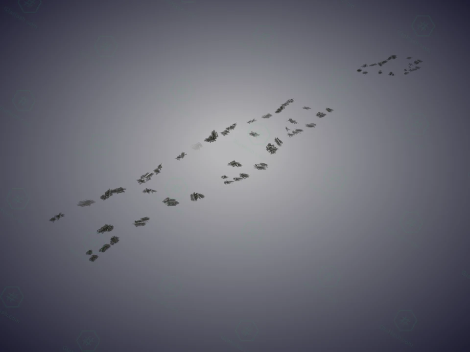 plg_06_h_fol6