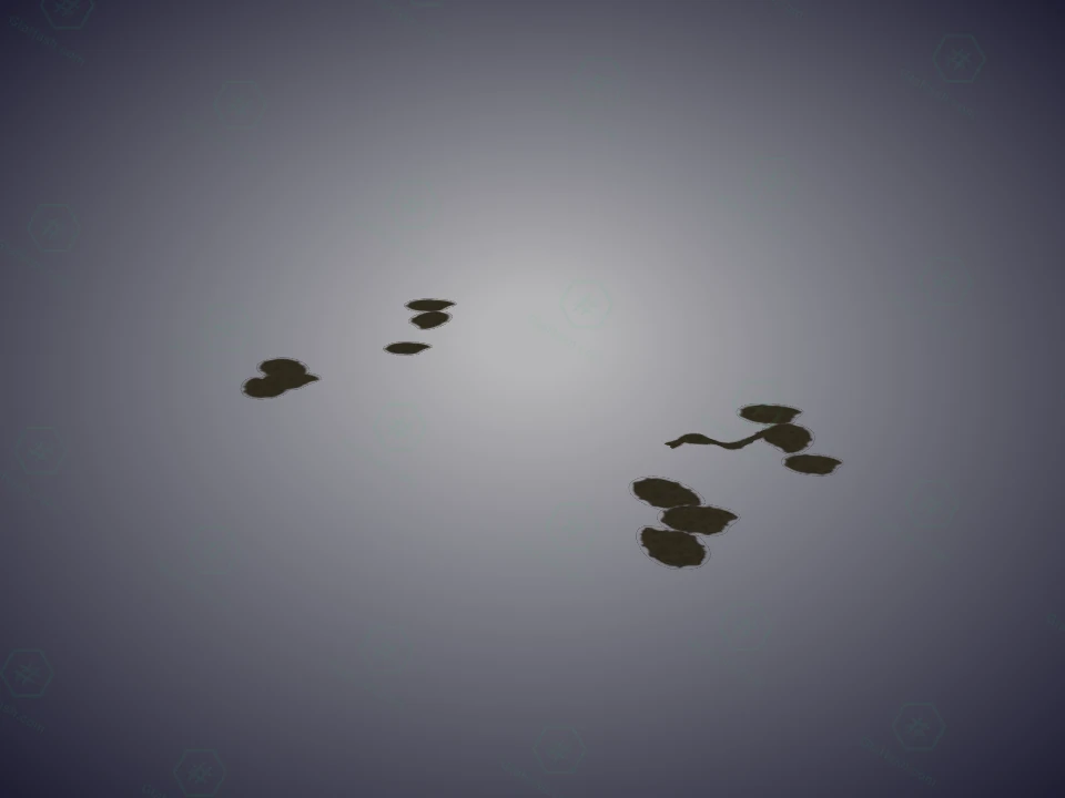 sc1_00g_b01_puddle
