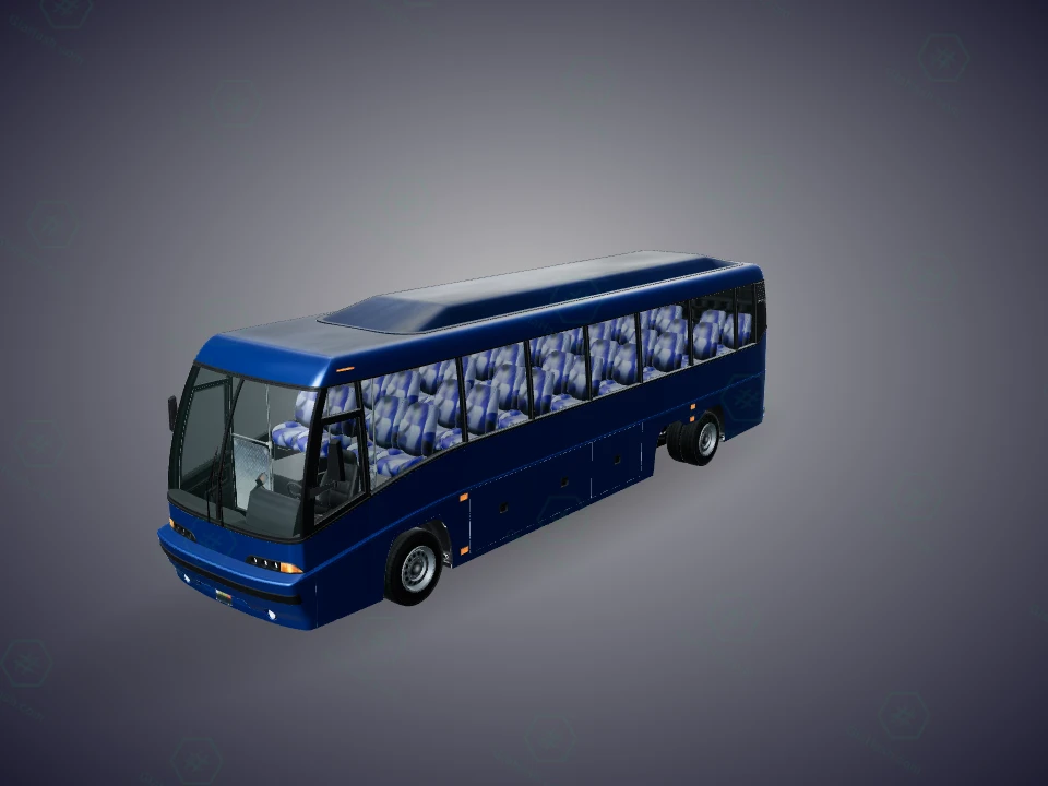coach